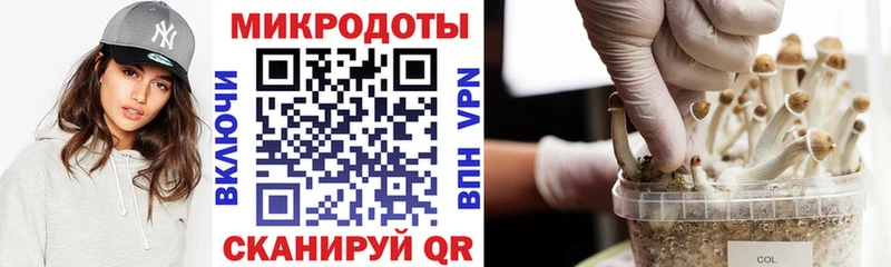 Купить где  Кирово-Чепецк  Псилоцибиновые грибы Psilocybine cubensis 